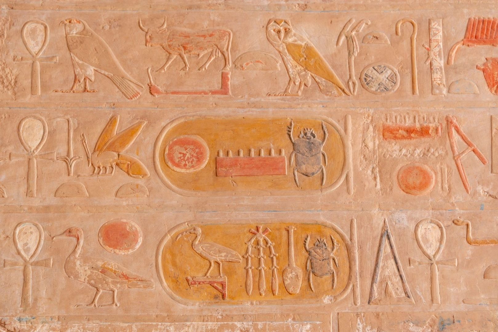 Egyptische reliëfs met vogels, dieren en hiërogliefen in okerkleur
